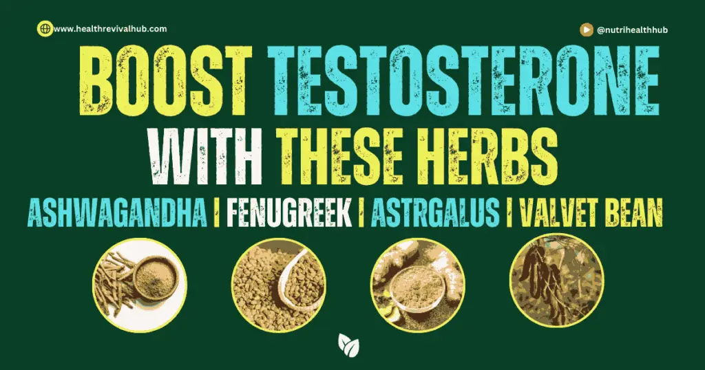 Natural herbs including Ashwagandha, Fenugreek, Astragalus, and Saw Palmetto displayed with labels to boost testosterone levels and improve men's health."