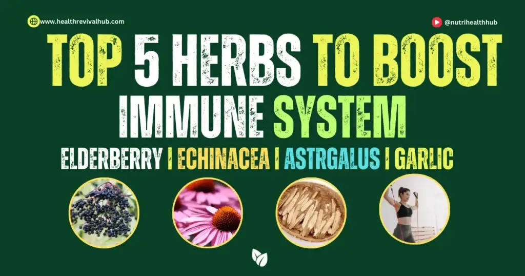 Five natural herbs including Elderberry, Echinacea, Astragalus, Garlic, and Ginger displayed with labels to boost immune system health."