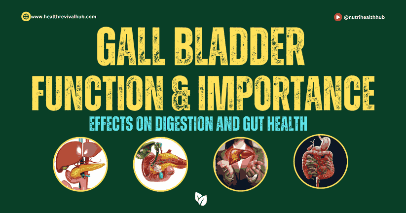 "Gall bladder Function & Importance - Effects on Digestion and Gut Health, featuring images of the digestive system and gallbladder anatomy on a green background."