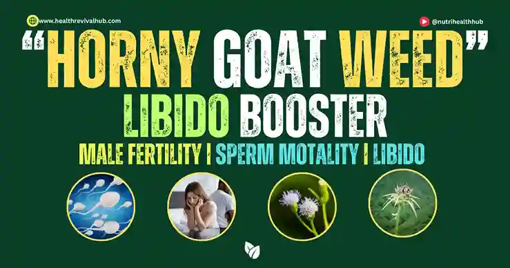 Horny Goat Weed for men - Natural testosterone booster and libido enhancer herb